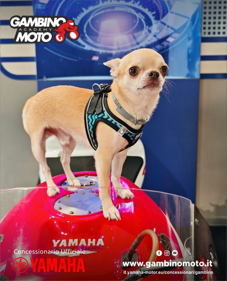 Inaugurazione Gambino Moto Concessionaria Yamaha Trapani, Via Pantelleria n.33